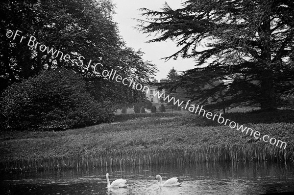 LAKE & SWANS : SWANS & HOUSE